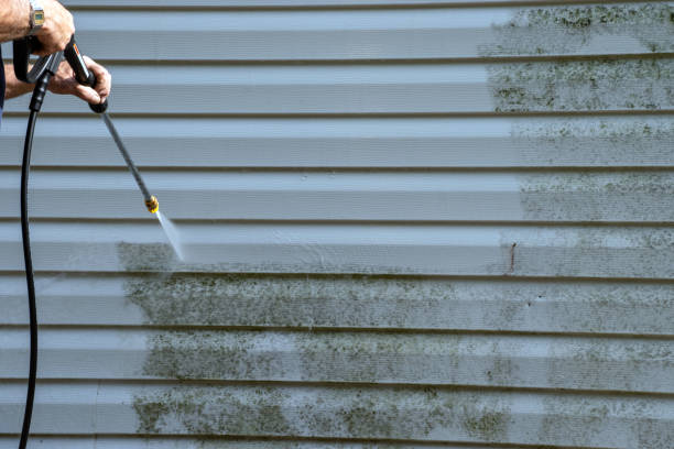 Best Basement Cleanout  in Haubstadt, IN